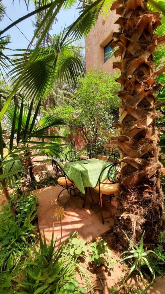 Dar Ouzoud Vegan Hotel Ruang foto