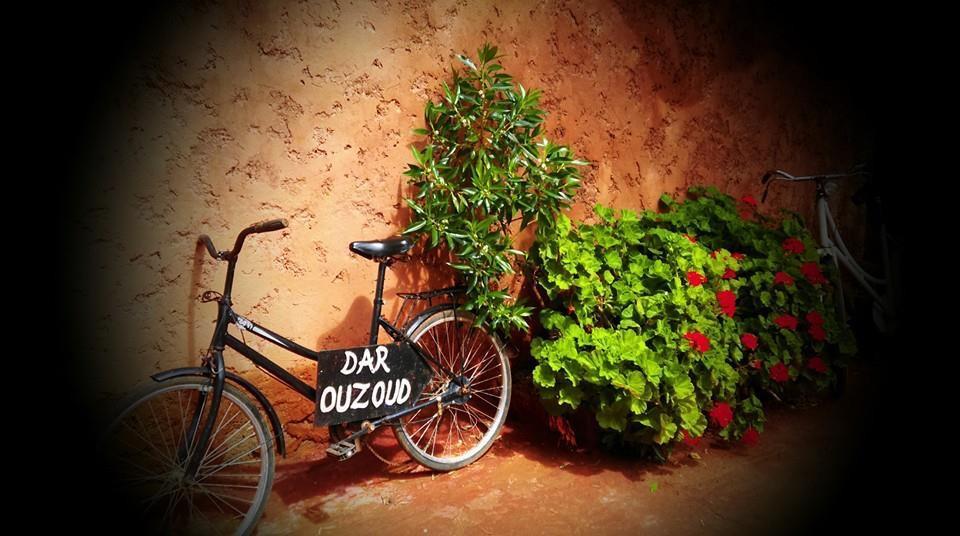 Dar Ouzoud Vegan Hotel Bagian luar foto